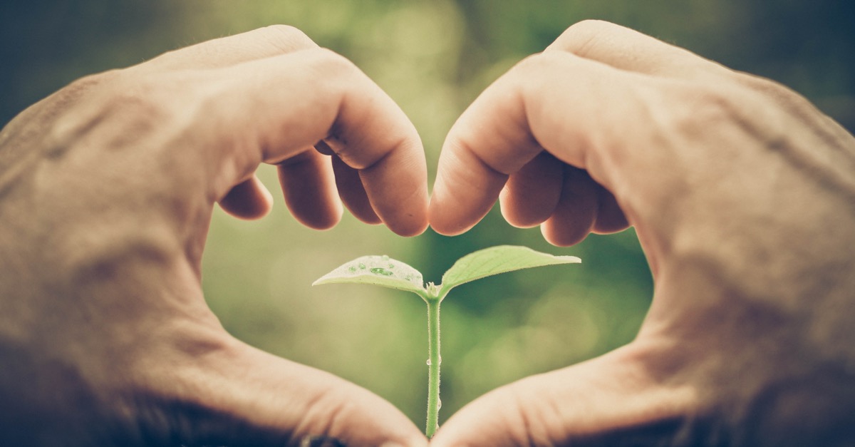 Compétences Relationnelles : pourquoi est-il si important de les développer ?