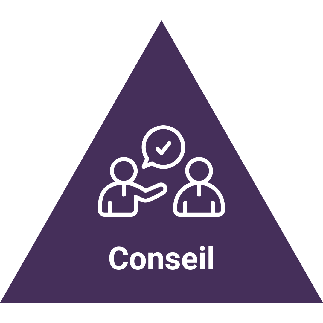 1 Bouton Conseil Hominance