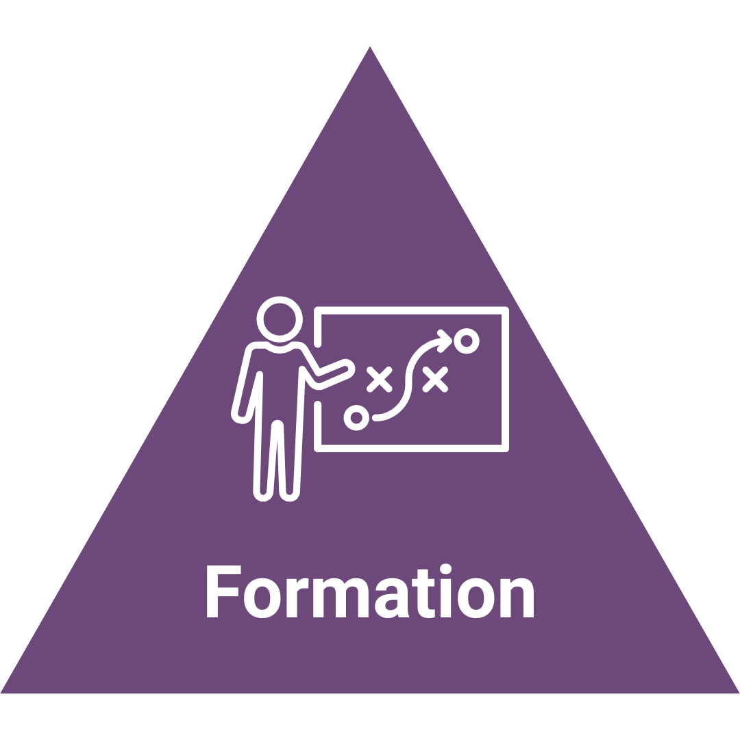 2 Bouton formation hominance